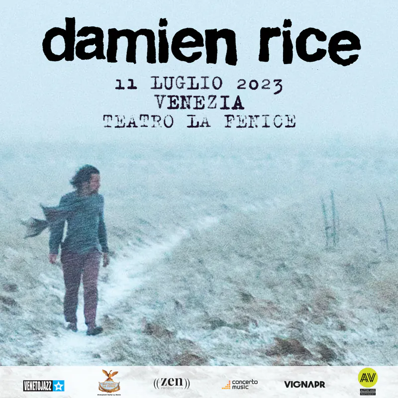 Locandina: Damien Rice